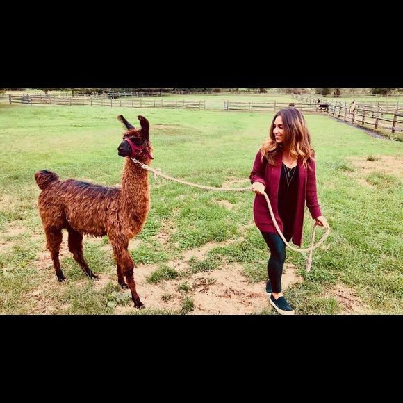 Meet your Posher, Tanya - Picture 3 of 5